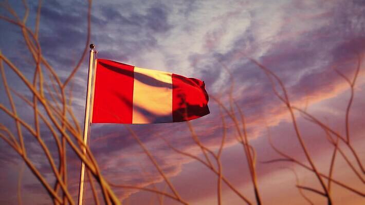 나무 배너 물결 파도 여행 하늘 아침 바람 사람없음 햇빛 태양 일출 일몰 흐름 자유 깃발 불기 민주주의 깃대 봉 애니메이션 재택근무 애국심 명예 독립 전국 정부 페루 필승 4K MOV 해외동영상 슬로모션 클립영상 주간 자연요소 식물 바다 컨셉 비즈니스 모션 날씨 촬영기법 노을 우승 남아메리카 동영상 파일형식