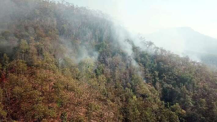 나무 구름 백그라운드 자연 하늘 바람 산 안테나 국립공원 풍경 사람없음 야외 여름 계곡 안개 시골 뜨거움 오염 연기 숲 위험 열대우림 언덕 먼지 내추럴 항공촬영 드론 위기 재앙 절정 4K MOV 해외동영상 클립영상 자연요소 식물 계절 공원 뷰포인트 컨셉 통신 날씨 생태계 동영상 파일형식