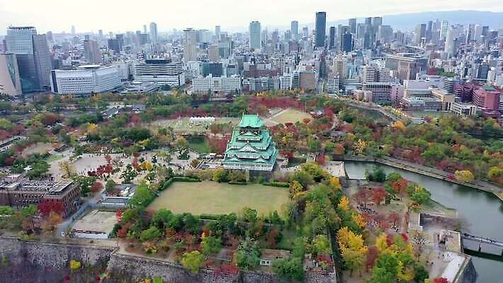 전통 공원 아시아 문화 여행 단풍 하늘 휴식 안테나 동양인 풍경 사람없음 야외 건물 파란색 빛 도시풍경 평화 탑 일본 도시 역사 정상 장면 타운 스카이라인 드론 랜드마크 오사카 조감도 4K MOV 해외동영상 클립영상 건축물 공공시설 나라 컬러 컨셉 잎 통신 인종 동영상 파일형식