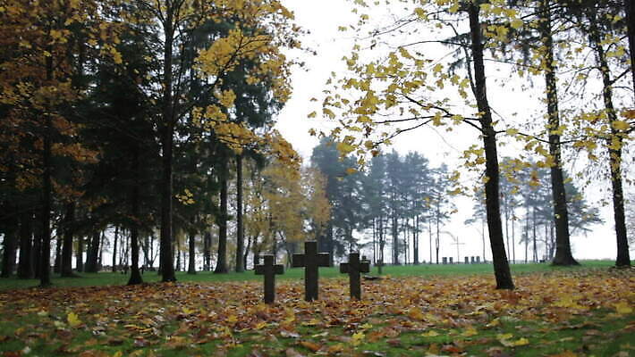 기독교 종교 십자가 잎 3 사람없음 친구 노란색 회색 슬픔 죽음 비석 군용 전쟁 애도 희생 영웅 기념물 천연기념물 장례 대칭 에스토니아 장례식 화강암 MOV 해외동영상 클립영상 식물 감정 유럽 컬러 관계 군대 암석 동영상 파일형식