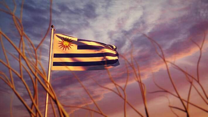 나무 물결 하늘 바람 사람없음 햇빛 태양 일출 일몰 깃발 불기 깃대 봉 애니메이션 애국심 우루과이 정부 4K MOV 해외동영상 슬로모션 클립영상 자연요소 식물 모션 날씨 촬영기법 노을 남아메리카 동영상 파일형식