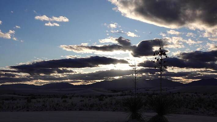 식물 공원 모래 조각 여행 가이드 자연 하늘 새로움 건조 풍경 사람없음 파란색 모래사장 미국 일몰 사막 흰색 역사 모래언덕 언덕 질감 치와와 기념물 천연기념물 내추럴 뉴멕시코 잔물결 전국 지질학 4K MP4 해외동영상 클립영상 직업 공공시설 교육 물결 바다 컬러 컨셉 북아메리카 노을 개 생태계 동영상 파일형식