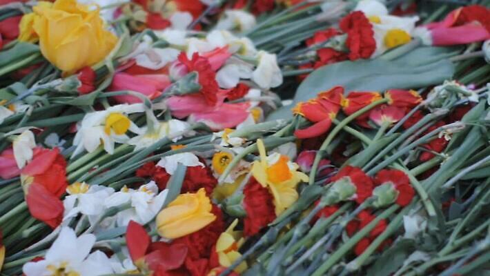 꽃 유럽 무늬 휴가 독일 사람 사람없음 축제 모임 자유 축하 큼 계약 문서 전쟁 결재 베를린 기념물 애국심 천연기념물 공산주의 독립 라트비아 소련 소비에트 전국 추모 필승 MOV 해외동영상 클립영상 식물 나라 컨셉 비즈니스 북유럽 우승 크기 동영상 파일형식