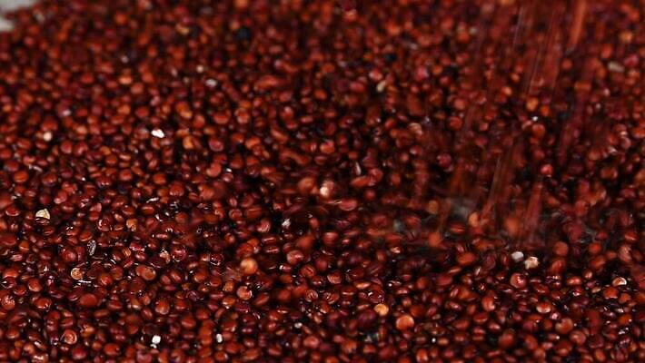 음식 백그라운드 재료 모션 탁자 표면 건조 건강 요리 씨앗 사람없음 목재 빨간색 갈색 주방 가을 붓기 닫기 자르기 시리얼 먹기 롤 쏟아짐 느림 흙더미 내추럴 그런지 퀴노아 튕기기 많음 MOV 해외동영상 클립영상 나무 식물 계절 컬러 가구 컨셉 곡류 흙 동영상 파일형식 더미