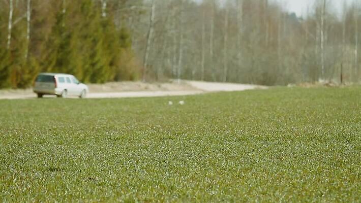 산업 밭 농업 자연 조류 하늘 바람 옥수수 사람없음 초록색 농작물 농장 기계 장비 시골 땅 트랙터 라트비아 밭일 MOV 해외동영상 클립영상 자연요소 동물 컬러 날씨 곡류 북유럽 농기계 생태계 특수차량 동영상 파일형식