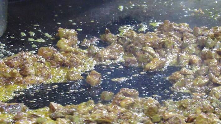 전통 패턴 요리 동양인 사람없음 빨간색 갈색 식사 치킨 튀김 고명 고수 정상 찌개 인도인 레시피 카레 양고기 동영상 라마단 마살라 방식 HD MOV 해외동영상 클립영상 외국인 음식 컬러 무늬 육류 인종 향신료 닭고기요리 파일형식