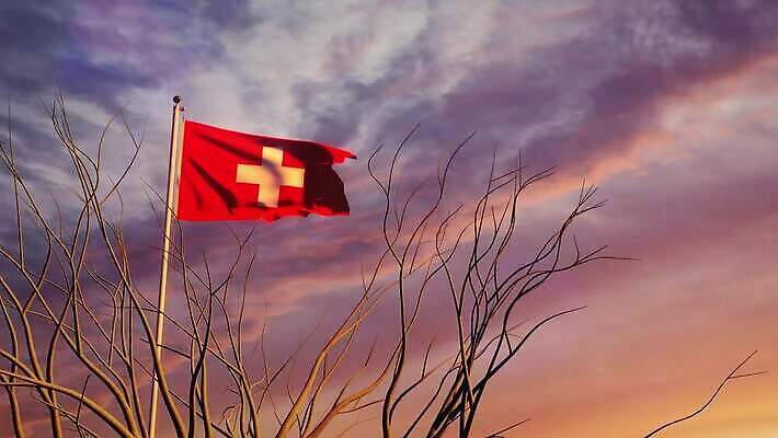 나무 배너 물결 파도 여행 하늘 아침 바람 사람없음 햇빛 태양 일출 일몰 흐름 자유 깃발 불기 민주주의 스위스 깃대 봉 애니메이션 재택근무 애국심 명예 독립 베른 전국 정부 필승 4K MOV 해외동영상 슬로모션 클립영상 주간 자연요소 식물 유럽 바다 컨셉 비즈니스 모션 날씨 촬영기법 노을 우승 동영상 파일형식