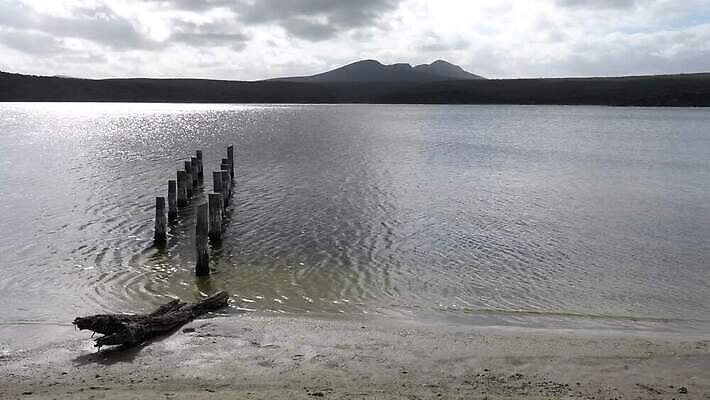 나무 식물 구름 호수 여행 자연 하늘 휴가 파노라마 국립공원 풍경 사람없음 야외 물 관광지 환경 황무지 호주 당구 생태계 서식지 내추럴 4K MP4 해외동영상 클립영상 자연요소 공원 촬영기법 구기 오세아니아 동영상 파일형식