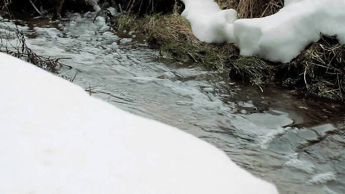 자연 독일 노르웨이 핀란드 국립공원 이끼 사람없음 물 강 얼음 폭포 오스트리아 숲 러시아 암초 폴란드 라트비아 리투아니아 슬로바키아 에스토니아 MOV 해외동영상 클립영상 자연요소 공원 유럽 북유럽 생태계 동영상 파일형식