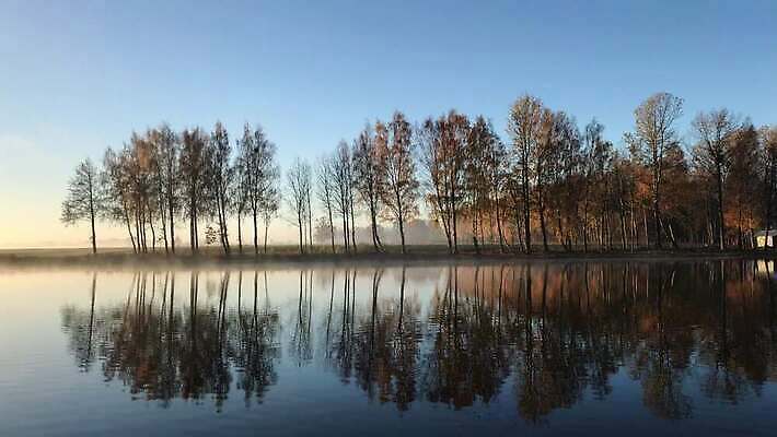 나무 식물 자연 아침 사람없음 야외 저녁 내추럴 4K MOV 해외동영상 클립영상 주간 야간 생태계 동영상 파일형식