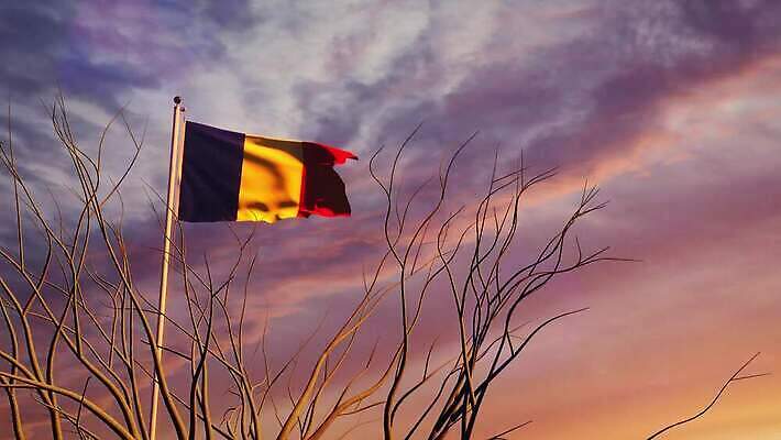 나무 배너 물결 파도 여행 하늘 아침 바람 사람없음 햇빛 태양 일출 일몰 흐름 자유 깃발 불기 민주주의 깃대 봉 애니메이션 재택근무 루마니아 애국심 명예 독립 부쿠레슈티 전국 정부 필승 4K MOV 해외동영상 슬로모션 클립영상 주간 자연요소 식물 유럽 바다 컨셉 비즈니스 모션 날씨 촬영기법 노을 우승 동영상 파일형식