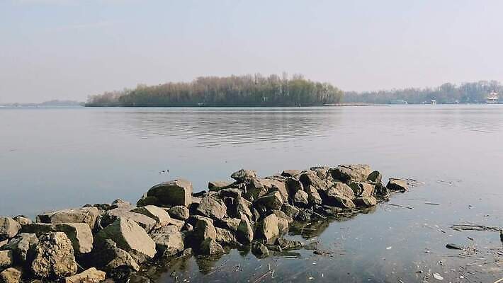 나무 모래 분홍색 섬 여행 자연 조류 하늘 아침 오리 사람없음 야외 건물 물 파란색 빛 강 햇빛 반사 노란색 평화 침묵 봄 안개 도시 버드나무 장면 미루나무 우크라이나 4K MOV 해외동영상 클립영상 주간 자연요소 식물 동물 건축물 계절 유럽 컬러 컨셉 날씨 태양 소리 생태계 동영상 파일형식