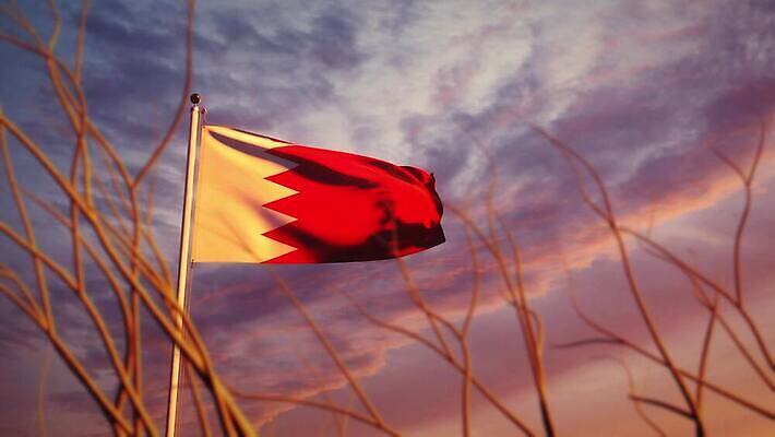 나무 배너 물결 파도 여행 하늘 아침 바람 사람없음 햇빛 태양 일출 일몰 흐름 자유 깃발 불기 민주주의 깃대 봉 애니메이션 재택근무 애국심 명예 독립 바레인 전국 정부 필승 4K MOV 해외동영상 슬로모션 클립영상 주간 자연요소 식물 바다 컨셉 비즈니스 중동 모션 날씨 촬영기법 노을 우승 동영상 파일형식