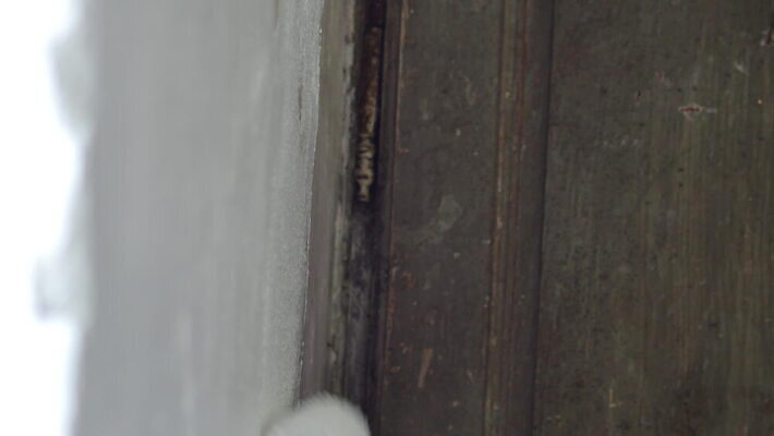 직업 1 손 벽 컬러 장갑 백그라운드 이동 컨셉 노동자 새로움 아파트 주택 아이디어 손잡이 미술 한명 내부 장식 인테리어 우주 페인트 공백 방 장비 흰색 공구 잡기 붓 업무 수리 서비스 롤러 화가 DIY 유지 고립 업그레이드 비어있는 4K MOV 해외동영상 클립영상 디자인 잡화 모션 문화예술 사람 취미 건물 신체부위 도구 작업 동영상 파일형식