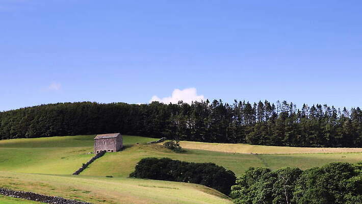 나무 영어 유럽 컬러 자연 하늘 영국 잉글랜드 파노라마 국립공원 사람없음 야외 초록색 파란색 시골 언덕 장면 북쪽 내추럴 컴브리아주 4K 타임랩스 MOV 해외동영상 클립영상 식물 문자 공원 나라 촬영기법 방향 생태계 동영상 파일형식