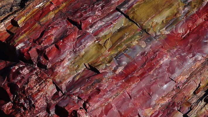 나무 공원 여행 자연 하늘 산 파노라마 국립공원 풍경 사람없음 야외 목재 빨간색 컬러풀 계곡 미국 사막 암석 바위 나뭇가지 숲 크리스탈 부식 화석 애리조나 전국 절정 지질 지질학 불모지 4K MOV 해외동영상 클립영상 식물 공공시설 교육 컬러 북아메리카 재료 촬영기법 돌_바위 광석 생태계 동영상 파일형식