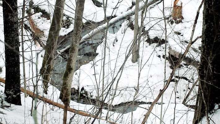 자연 독일 노르웨이 핀란드 국립공원 이끼 사람없음 물 강 얼음 폭포 오스트리아 숲 러시아 암초 폴란드 라트비아 리투아니아 슬로바키아 에스토니아 MOV 해외동영상 클립영상 자연요소 공원 유럽 북유럽 생태계 동영상 파일형식