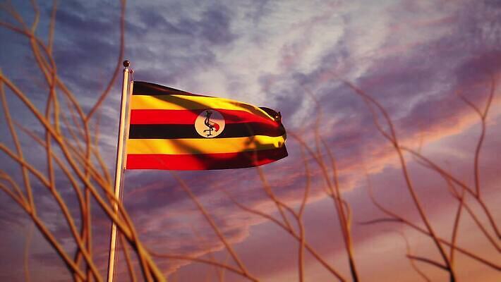 나무 배너 물결 파도 여행 하늘 아침 바람 사람없음 햇빛 태양 일출 일몰 흐름 자유 깃발 불기 민주주의 깃대 봉 애니메이션 재택근무 애국심 명예 독립 우간다 전국 정부 필승 4K MOV 해외동영상 슬로모션 클립영상 주간 자연요소 식물 바다 컨셉 비즈니스 모션 아프리카 날씨 촬영기법 노을 우승 동영상 파일형식