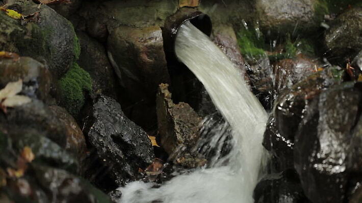 공원 백그라운드 자연 사람없음 물 정원 도시 오염 에코 라트비아 리가 MOV 해외동영상 클립영상 자연요소 공공시설 북유럽 환경 생태계 동영상 파일형식