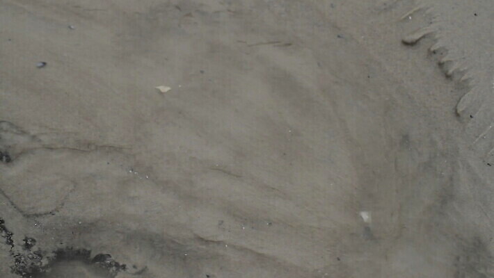 모래 파도 바다 여행 백그라운드 자연 휴식 해변 사람없음 야외 물 평화 환경 만 개울 서핑 오염 장면 내추럴 라트비아 생태학 MOV 해외동영상 클립영상 자연요소 교육 컨셉 북유럽 강 수상스포츠 생태계 동영상 파일형식