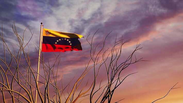 나무 배너 물결 파도 여행 하늘 아침 바람 사람없음 햇빛 태양 일출 일몰 흐름 자유 깃발 불기 민주주의 깃대 봉 애니메이션 재택근무 애국심 명예 독립 베네수엘라 전국 정부 필승 4K MOV 해외동영상 슬로모션 클립영상 주간 자연요소 식물 바다 컨셉 비즈니스 모션 날씨 촬영기법 노을 우승 남아메리카 동영상 파일형식