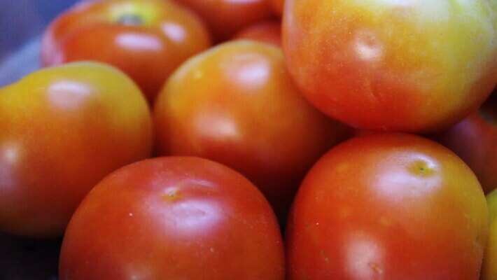 식물 1 길 클리핑패스 음식 컬러 백그라운드 잎 농업 다이어트 토마토 채소 재료 자연 건강 요리 사람없음 빨간색 초록색 여름 정원 활발 샐러드 수확 흰색 신선 체리 그룹 케첩 자르기 먹기 싱글 유기농 날것 비타민 내추럴 항공촬영 고립 숙성 채식주의자 MOV 해외동영상 클립영상 웰빙 계절 산업 뷰포인트 컨셉 과일 모션 소스_음식 생태계 채식 동영상 영양소 파일형식