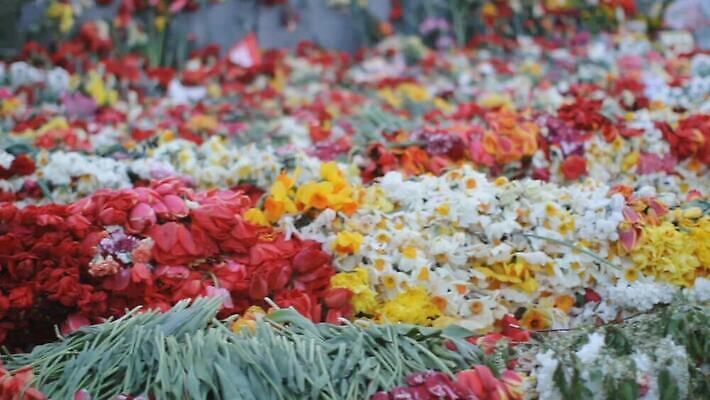 꽃 유럽 무늬 휴가 독일 사람 사람없음 축제 모임 자유 축하 큼 계약 문서 전쟁 결재 베를린 기념물 애국심 천연기념물 공산주의 독립 라트비아 소련 소비에트 전국 추모 필승 MOV 해외동영상 클립영상 식물 나라 컨셉 비즈니스 북유럽 우승 크기 동영상 파일형식