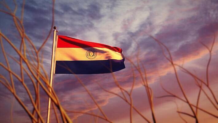 나무 배너 물결 파도 여행 하늘 아침 바람 사람없음 햇빛 태양 일출 일몰 흐름 자유 깃발 불기 민주주의 깃대 봉 애니메이션 재택근무 애국심 명예 독립 전국 정부 파라과이 필승 4K MOV 해외동영상 슬로모션 클립영상 주간 자연요소 식물 바다 컨셉 비즈니스 모션 날씨 촬영기법 노을 우승 남아메리카 동영상 파일형식