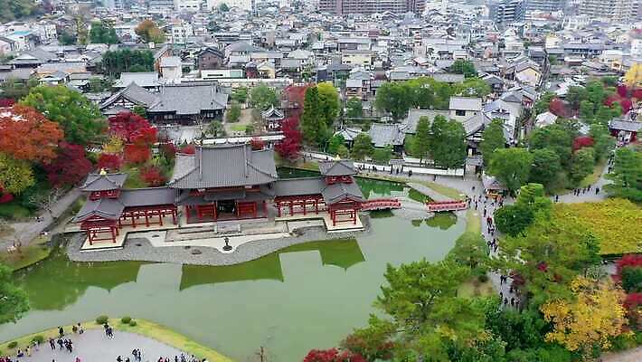 나무 공원 아시아 종교 문화 호수 여행 단풍 불교 건축양식 안테나 사람없음 건물 물 강 컬러풀 세계 여행객 탑 정원 일본 가을 도시 사찰 역사 재산 교토 드론 랜드마크 조감도 4K MOV 해외동영상 클립영상 자연요소 식물 건축물 계절 공공시설 건축 나라 컬러 잎 통신 종교건축 사람 금융 동영상 파일형식