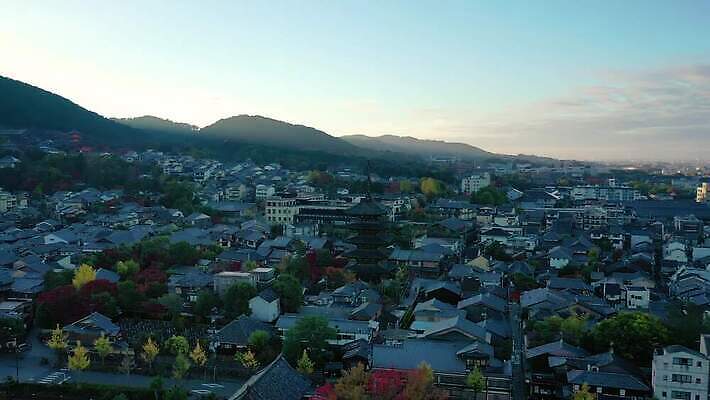 나무 계절 아시아 종교 문화 여행 비즈니스 건축양식 하늘 아침 거리 주택 안테나 사람없음 건물 목재 파란색 도시풍경 교회 일출 탑 일본 봄 새벽 가을 도시 사찰 역사 재산 도심 지역 교토 드론 랜드마크 방법 사당 옛날 조감도 4K MOV 해외동영상 클립영상 주간 자연요소 식물 건축물 건축 나라 컬러 재료 통신 종교건축 풍경 금융 노을 동영상 파일형식