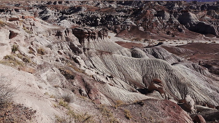 공원 모래 컬러 백그라운드 자연 산 건조 국립공원 풍경 사람없음 빨간색 컬러풀 골짜기 계곡 미국 흙 사막 바위 그리기 숲 언덕 부식 지역 사암 애리조나 내추럴 전국 지질학 불모지 막 4K MOV 해외동영상 클립영상 공공시설 교육 북아메리카 모션 돌_바위 생태계 동영상 파일형식
