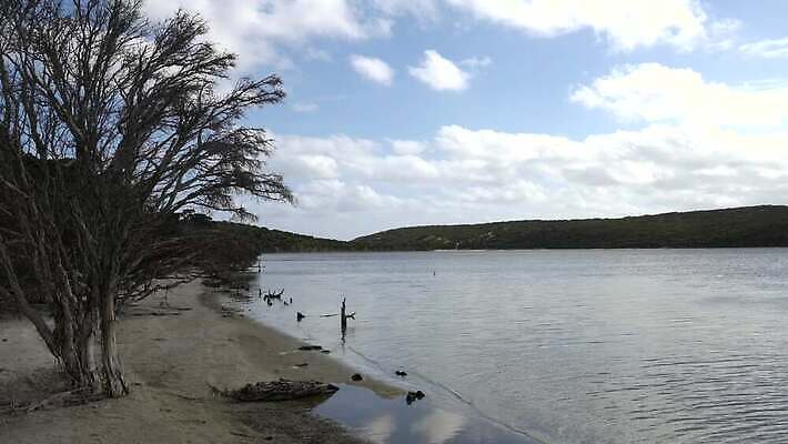 나무 식물 구름 호수 여행 자연 하늘 휴가 파노라마 국립공원 풍경 사람없음 야외 물 관광지 환경 황무지 호주 당구 생태계 서식지 내추럴 4K MP4 해외동영상 클립영상 자연요소 공원 촬영기법 구기 오세아니아 동영상 파일형식
