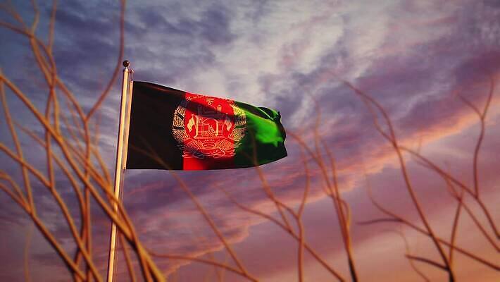 나무 배너 물결 파도 여행 하늘 아침 바람 사람없음 햇빛 태양 일출 일몰 흐름 자유 깃발 불기 민주주의 깃대 봉 애니메이션 재택근무 애국심 명예 독립 아프가니스탄 전국 정부 필승 4K MOV 해외동영상 슬로모션 클립영상 주간 자연요소 식물 바다 컨셉 비즈니스 모션 날씨 촬영기법 노을 우승 동영상 파일형식