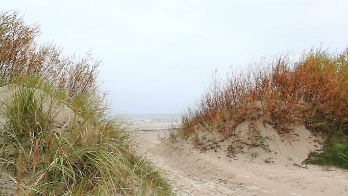 식물 도로 모래 파도 바다 백그라운드 겨울 자연 바람 사람없음 야외 회색 모래언덕 라트비아 방법 MOV 해외동영상 클립영상 자연요소 계절 길 컬러 교통시설 날씨 북유럽 언덕 생태계 동영상 파일형식