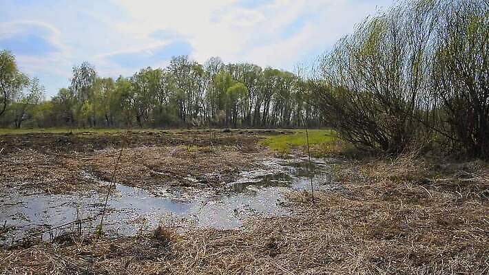 나무 계절 호수 밭 자연 하늘 사람없음 물 파란색 강 반사 노란색 봄 시골 개울 볏짚 습지 숲 버드나무 밀짚 내추럴 미루나무 옛날 우크라이나 MOV 해외동영상 클립영상 자연요소 식물 유럽 컬러 농업 짚 생태계 동영상 파일형식