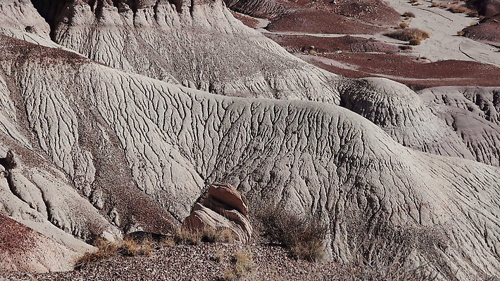 공원 모래 컬러 백그라운드 자연 산 건조 국립공원 풍경 사람없음 빨간색 컬러풀 골짜기 계곡 미국 흙 사막 바위 그리기 숲 언덕 부식 지역 사암 애리조나 내추럴 전국 지질학 불모지 막 4K MOV 해외동영상 클립영상 공공시설 교육 북아메리카 모션 돌 생태계 동영상 파일형식