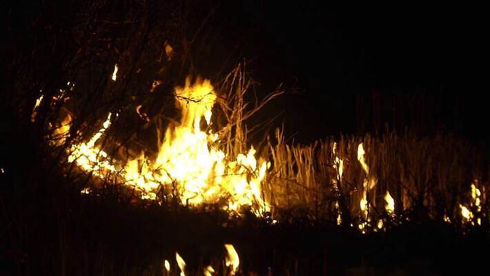 나무 배너 백그라운드 오렌지 하늘 밥 불 불꽃 아이디어 창조 풍경 사람없음 야외 빨간색 빛 노란색 환경 검은색 어둠 에너지 뜨거움 연기 야간 위험 내추럴 재 재앙 화상 4K MP4 해외동영상 클립영상 자연요소 식물 음식 컬러 컨셉 과일 상처 동영상 파일형식