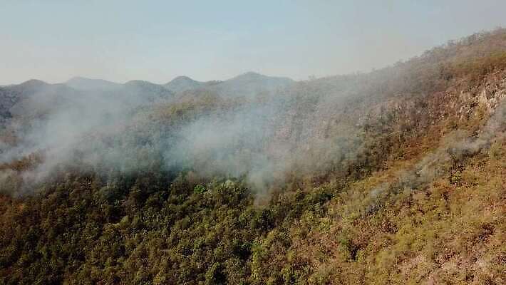 나무 구름 백그라운드 자연 하늘 바람 산 안테나 국립공원 풍경 사람없음 야외 여름 계곡 안개 시골 뜨거움 오염 연기 숲 위험 열대우림 언덕 먼지 내추럴 항공촬영 드론 위기 재앙 절정 4K MOV 해외동영상 클립영상 자연요소 식물 계절 공원 뷰포인트 컨셉 통신 날씨 생태계 동영상 파일형식