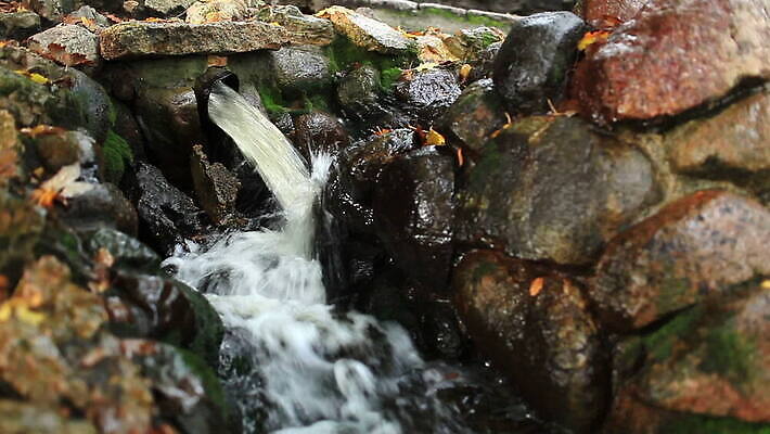 공원 백그라운드 자연 사람없음 물 정원 도시 라트비아 리가 MOV 해외동영상 클립영상 자연요소 공공시설 북유럽 생태계 동영상 파일형식