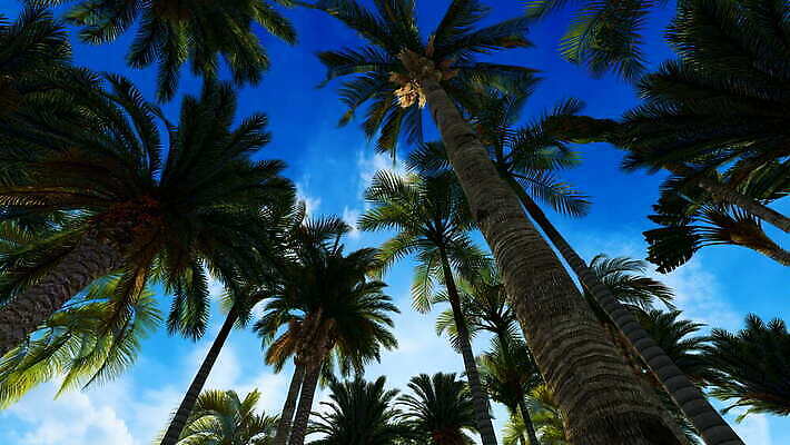 모래 바다 섬 여행 백그라운드 자연 하늘 휴가 풍경 사람없음 물 여름 관광지 야자수 햇빛 태양 뷰티 여행객 맑음 고요 전원 고독 생태계 천국 석호 열대기후 이국적 4K MOV 해외동영상 클립영상 자연요소 나무 계절 감정 날씨 사람 전기에너지 동영상 파일형식