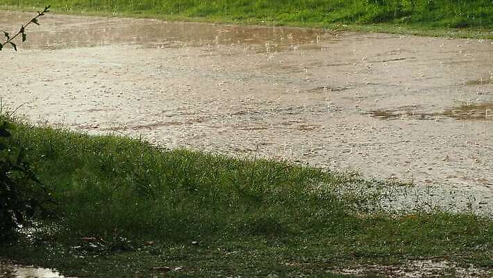 나무 도로 호수 백그라운드 밭 농업 골프 자연 하늘 날씨 파노라마 풍경 잔디 초원 사람없음 야외 초록색 물 여름 파란색 강 농장 환경 화목 봄 거품 젖음 물방울 시골 액체 떨어짐 땅 빗방울 분무기 폭풍 내추럴 기후변화 땅바닥 생태학 4K MOV 해외동영상 클립영상 자연요소 식물 계절 교육 산업 길 컬러 컨셉 교통시설 바닥 촬영기법 구기 비_날씨 변화 생태계 동영상 파일형식