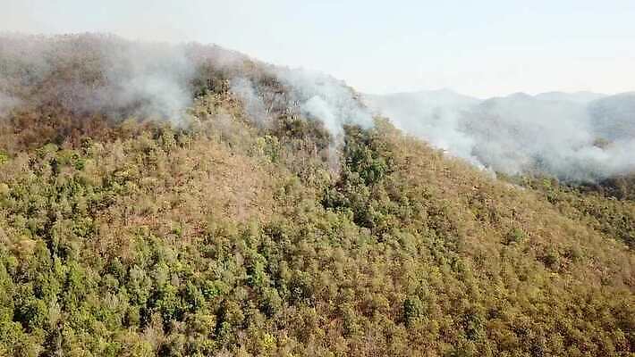 나무 구름 백그라운드 자연 하늘 바람 산 안테나 국립공원 풍경 사람없음 야외 여름 계곡 안개 시골 뜨거움 오염 연기 숲 위험 열대우림 언덕 먼지 내추럴 항공촬영 드론 위기 재앙 절정 4K MOV 해외동영상 클립영상 자연요소 식물 계절 공원 뷰포인트 컨셉 통신 날씨 생태계 동영상 파일형식