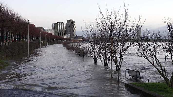 유럽 여행 자연 하늘 독일 파노라마 풍경 사람없음 야외 건물 물 관광지 강 일출 환경 젖음 도시 보트 개울 도심 강가 홍수 생태계 타운 내추럴 랜드마크 명승지 재앙 쾰른 4K MP4 해외동영상 클립영상 자연요소 건축물 나라 배_교통 촬영기법 노을 자연재해 동영상 파일형식