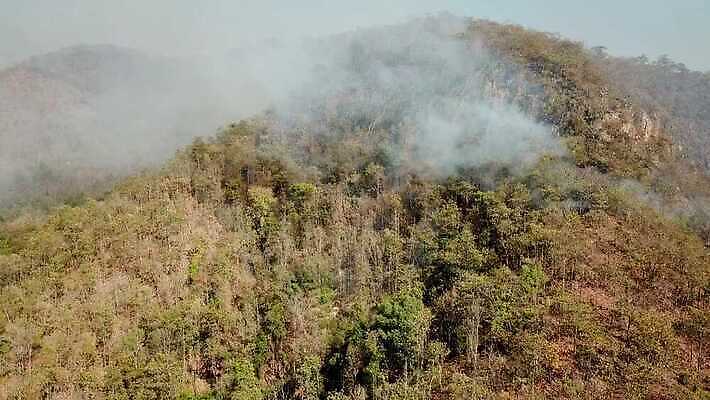 나무 구름 백그라운드 자연 하늘 바람 산 안테나 국립공원 풍경 사람없음 야외 여름 계곡 안개 시골 뜨거움 오염 연기 숲 위험 열대우림 언덕 먼지 내추럴 항공촬영 드론 위기 재앙 절정 4K MOV 해외동영상 클립영상 자연요소 식물 계절 공원 뷰포인트 컨셉 통신 날씨 생태계 동영상 파일형식