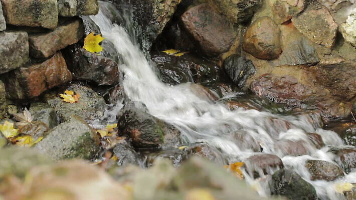 식물 계절 공원 잎 자연 이끼 사람없음 야외 초록색 강 평화 환경 침묵 봄 폭포 젖음 흐름 떨어짐 장면 내추럴 라트비아 리가 MOV 해외동영상 클립영상 공공시설 컬러 컨셉 북유럽 소리 생태계 동영상 파일형식
