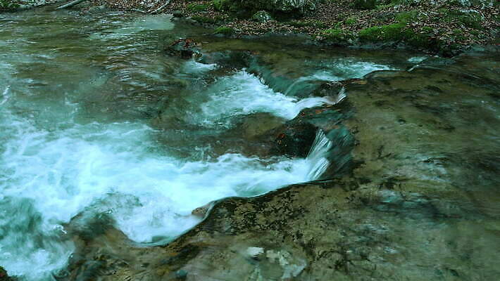 나무 공원 유럽 여행 백그라운드 자연 산 사람없음 야외 목재 가로 초록색 물 강 햇빛 환경 골짜기 계곡 침묵 봄 폭포 흐름 신선 개울 재산 숲 지역 내추럴 몬테네그로 전국 4K MOV 해외동영상 클립영상 자연요소 식물 계절 공공시설 나라 컬러 컨셉 재료 금융 태양 소리 생태계 동영상 파일형식