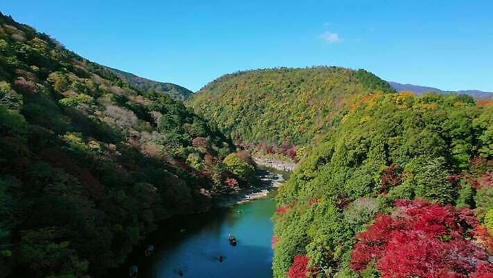 나무 식물 전통 계절 아시아 여행 단풍 잎 자연 하늘 휴가 산 안테나 동양인 사람없음 야외 빨간색 초록색 물 파란색 강 컬러풀 여행객 정원 일본 활발 도시 보트 숲 대나무 내추럴 교토 드론 랜드마크 조감도 4K MOV 해외동영상 클립영상 자연요소 나라 컬러 컨셉 배_교통 통신 사람 인종 생태계 동영상 파일형식