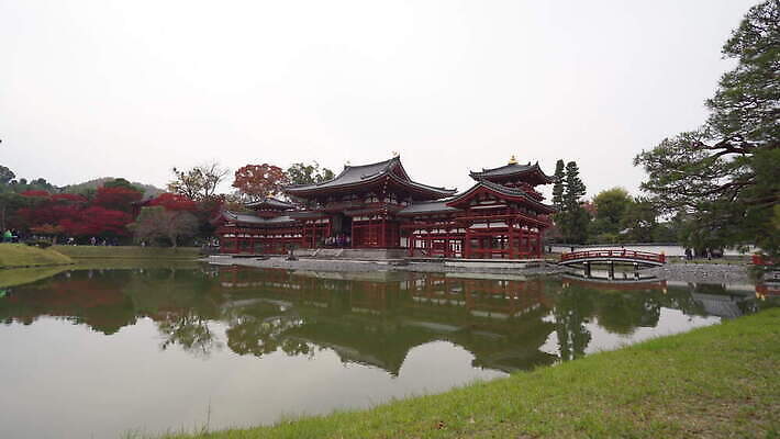나무 계절 공원 아시아 종교 문화 여행 단풍 잎 불교 건축양식 동양인 사람없음 건물 빨간색 세계 반사 정원 일본 도시 사찰 역사 재산 땅 교토 랜드마크 봉황 사당 4K MOV 해외동영상 클립영상 식물 건축물 공공시설 건축 나라 컬러 종교건축 인종 금융 동영상 파일형식