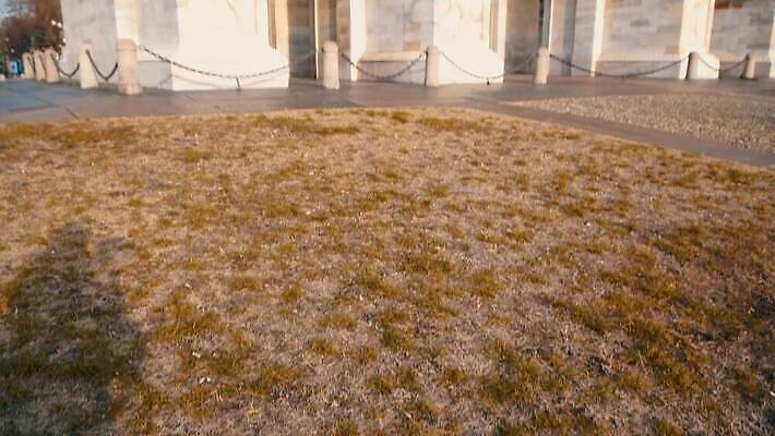 외관 공원 유럽 문화 조각 여행 건축양식 하늘 휴가 미술 풍경 사람없음 야외 건물 도시풍경 조각상 평화 이탈리아 수확 도시 역사 속도 아치 대문 정사각형 대리석 타운 기념물 천연기념물 나폴레옹 랜드마크 밀라노 옛날 가리발디 4K MP4 해외동영상 클립영상 도형 건축물 공공시설 건축 나라 컨셉 농업 재료 문화예술 조형물 문 위인 동영상 정치가 파일형식