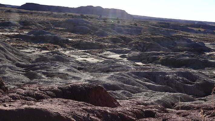 공원 모래 컬러 백그라운드 자연 산 건조 국립공원 풍경 사람없음 빨간색 컬러풀 골짜기 계곡 미국 흙 사막 바위 그리기 숲 언덕 부식 지역 사암 애리조나 내추럴 전국 지질학 불모지 막 4K MOV 해외동영상 클립영상 공공시설 교육 북아메리카 모션 돌_바위 생태계 동영상 파일형식